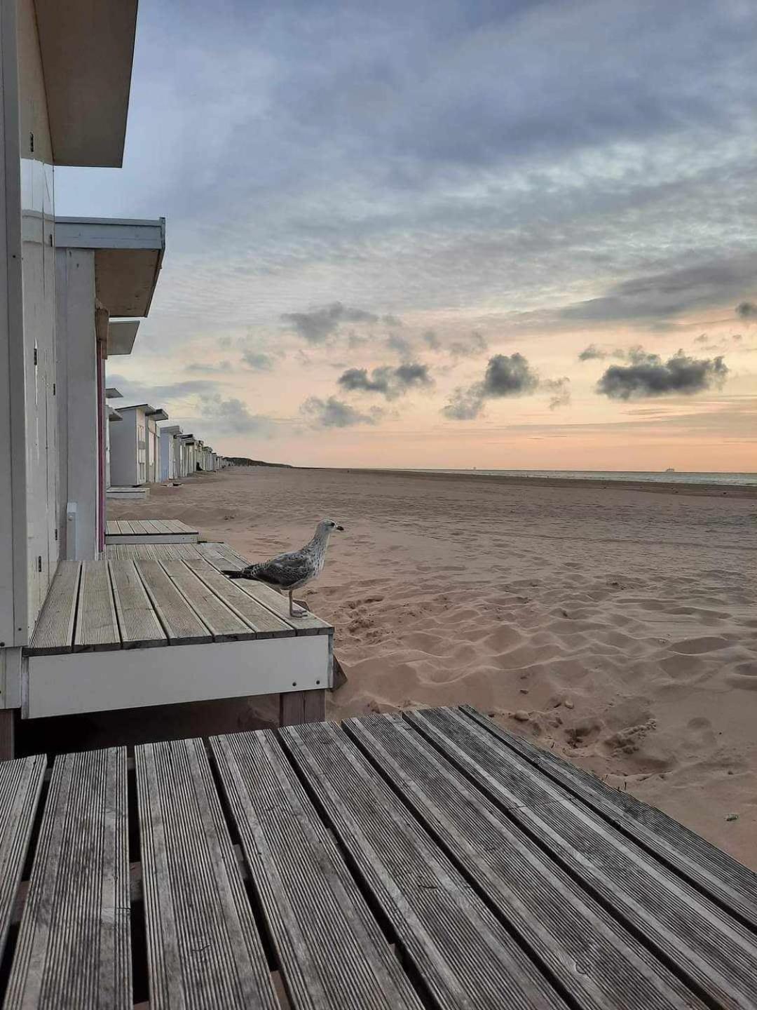 Calais Plage-Gare Appartement Elegant Tout Equipe Екстер'єр фото